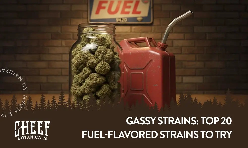 A mason jar full of cannabis buds next to a gas canister with the title "Gassy strains".