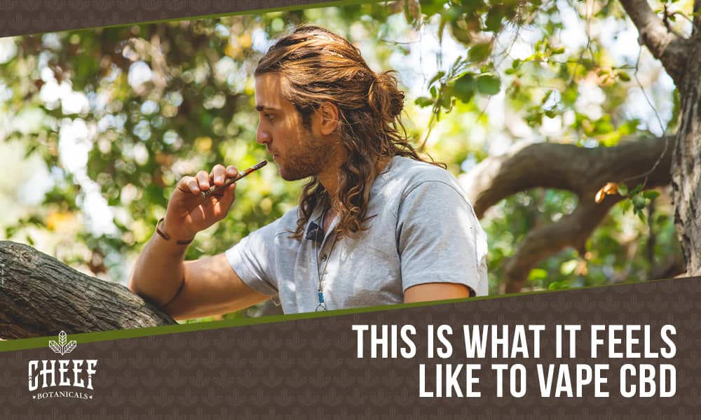 How Does CBD Vape Make You Feel? Find Out Here! How Does CBD Vape Make You Feel? Find Out Here!
