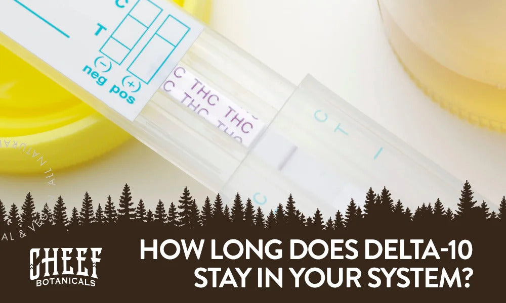 How long does delta-10 stay in your system featured blog image by Cheef Botanicals. Shows a positive drug test signaling THC dection.