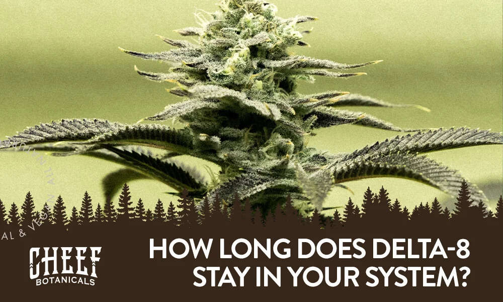 how long does delta-8 thc stay in your system