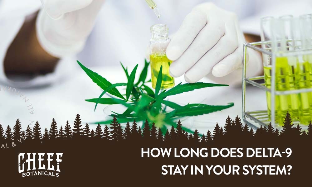 how long does delta 9 stay in system