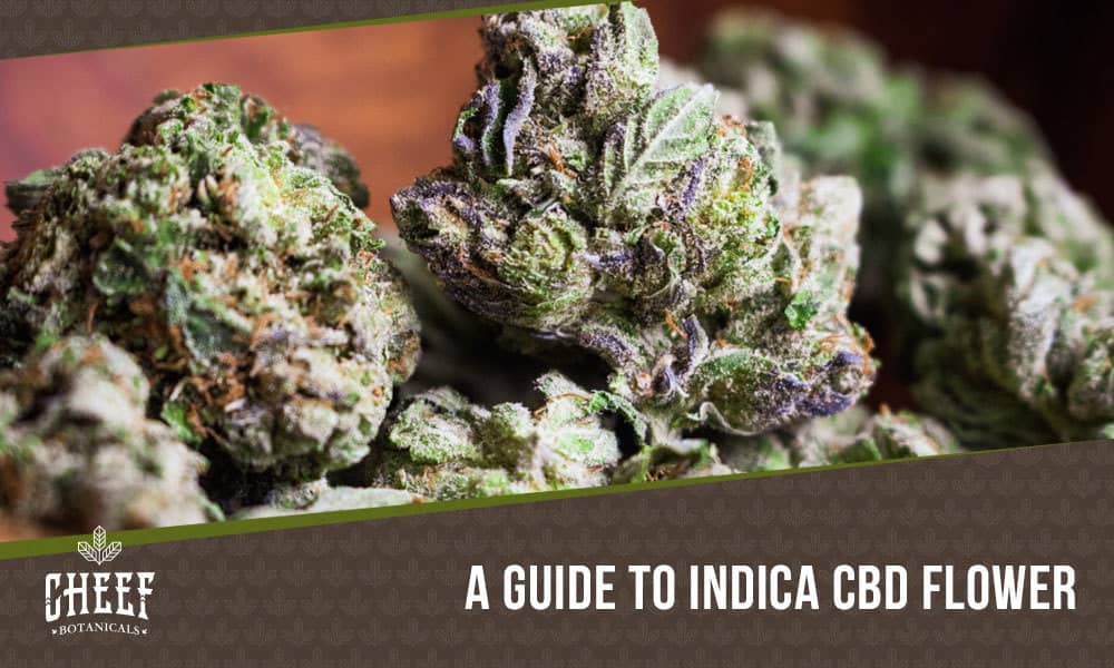 Indica CBD Flower featured blog image by Cheef Botanicals. Shows a pile of cured Bubba Kush CBD buds.