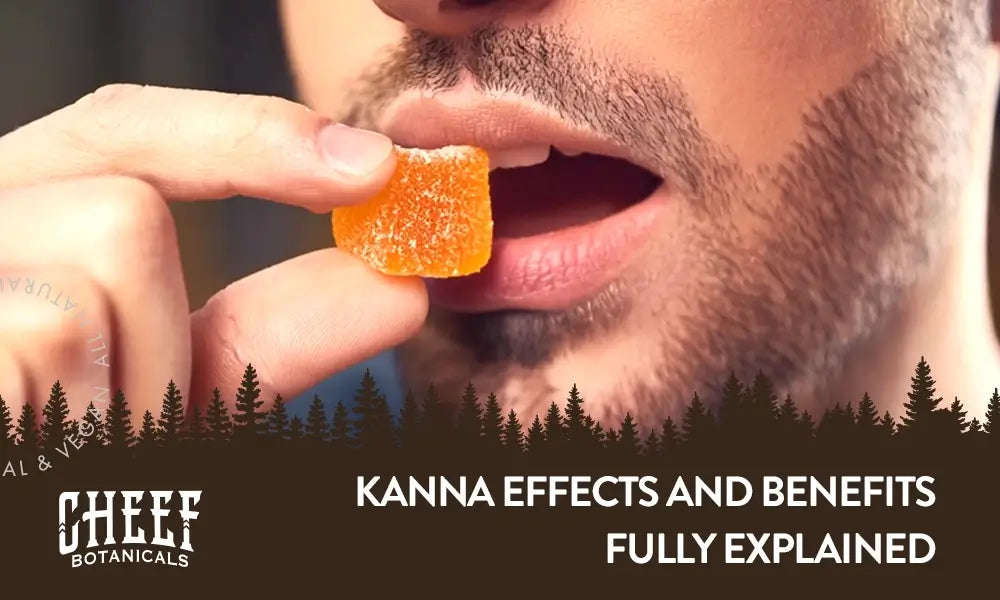 Kanna Effects featured blog image by Cheef Botanicals. Shows a man about to eat a citrus orange kanna gummy (close up image, mouth shot)