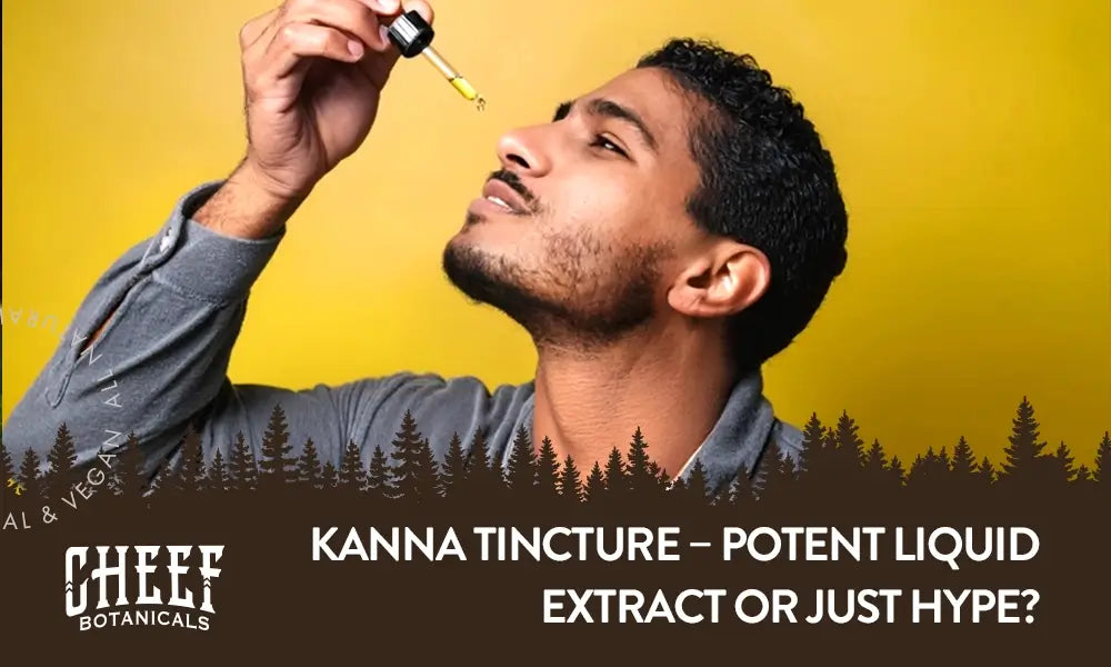kanna tincture featured blog image by Cheef Botanicals. Shows a young man about to take some tincture drops from a dropper