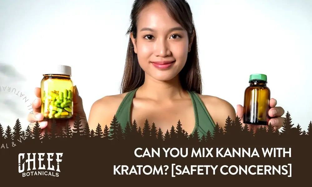 Cheef Botanicals kanna with kratom featured blog image.