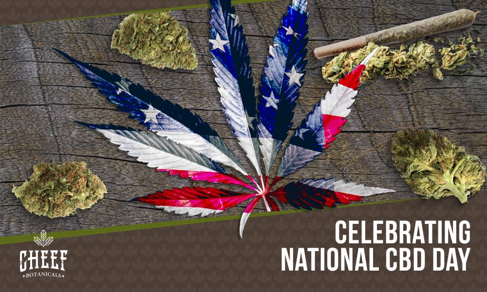 National CBD Day