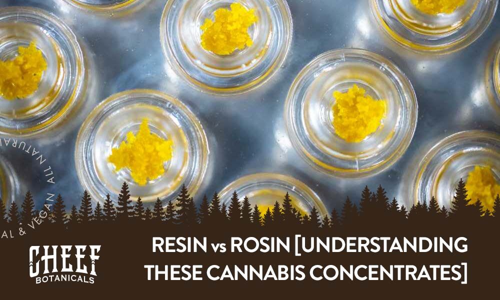resin vs rosin live resin vs live rosin