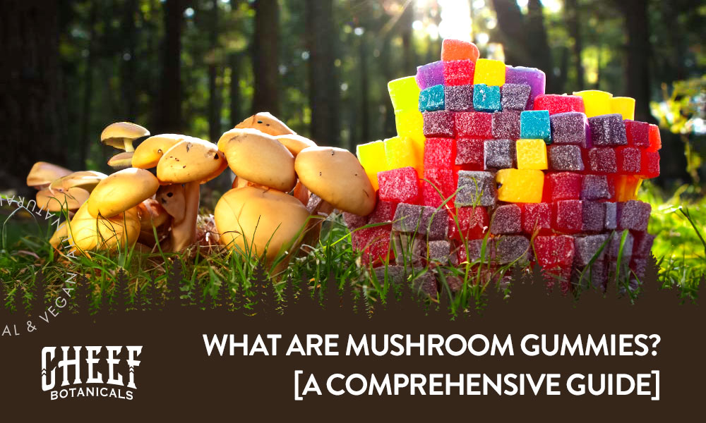 what are mushroom gummies featured blog image by Cheef Botanicals. Shows a pile of colorful gummies next to some mushrooms