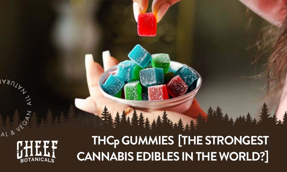 What Are THCP Gummies featured blog image by Cheef Botanicals. Shows a person's hand holding a bowl of THCP gummies and grabbing one with the other hand.