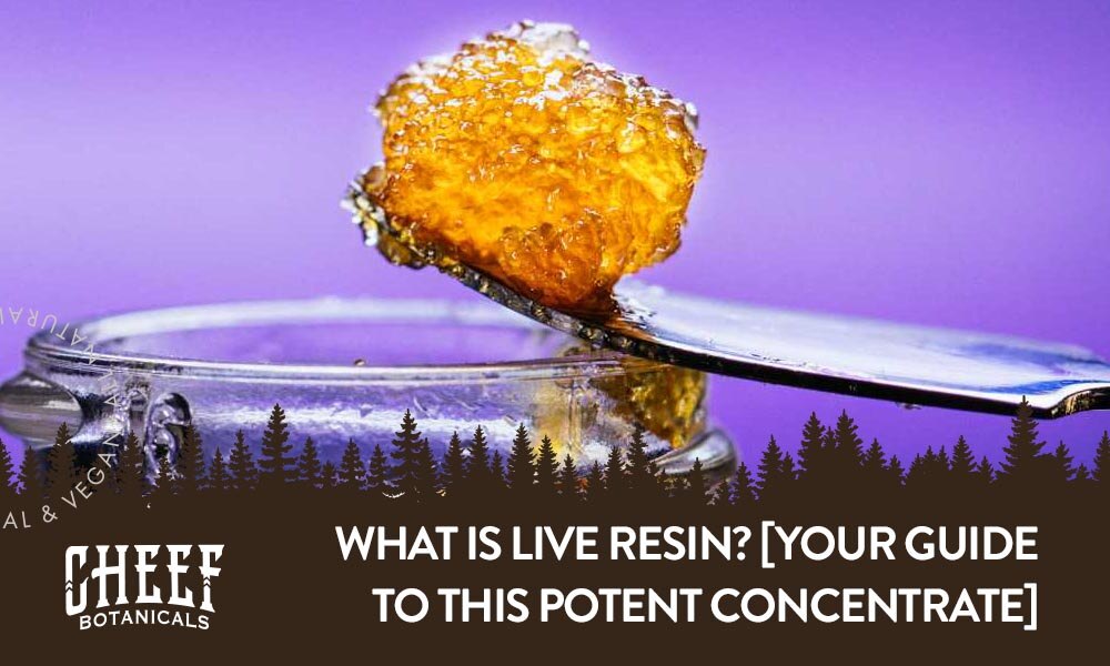 what is live resin