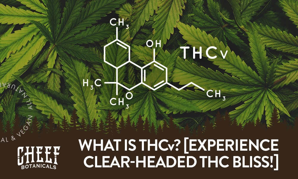what is thcv
