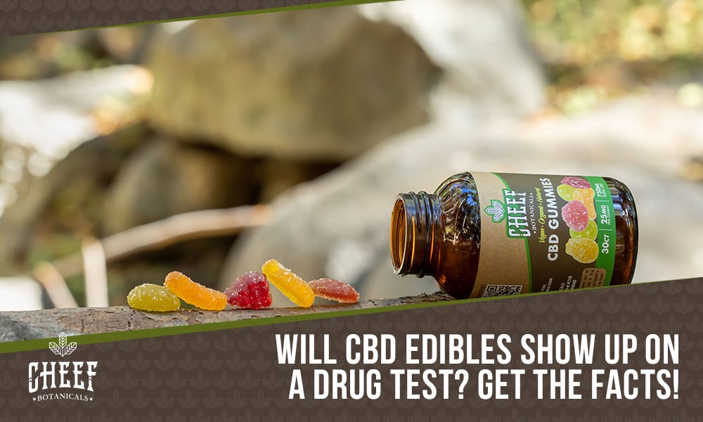 will cbd edibles show up on a drug test