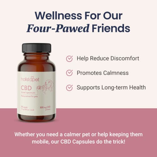 CBD Capsules for Dogs and Cats - HolistaPet