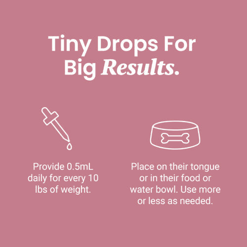 Salmon Flavored CBD Oil For Dogs - HolistaPet