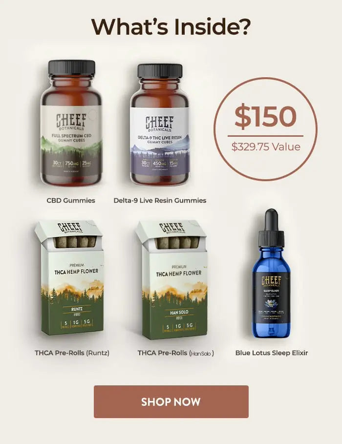 Bundle & Save: Ultimate Festival Bundle -