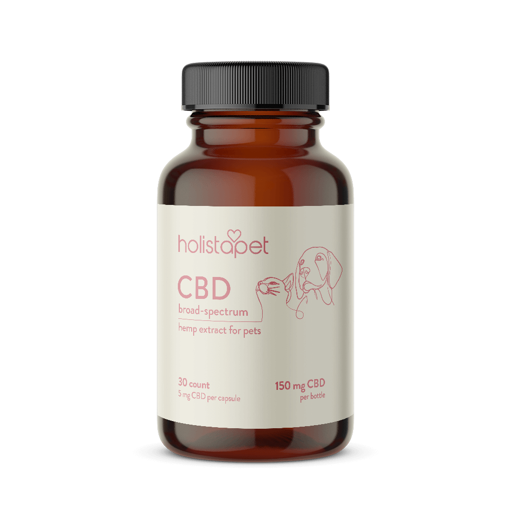 CBD Capsules for Dogs and Cats - HolistaPet