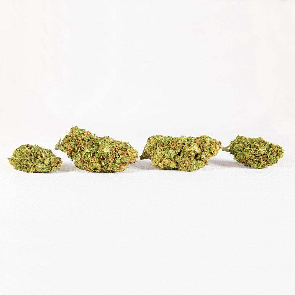 CBD Flower Pre Rolls hawaiian haze spilled