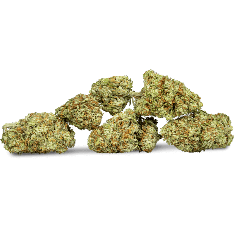 CBD Flower Pre Rolls mimosa Spilled