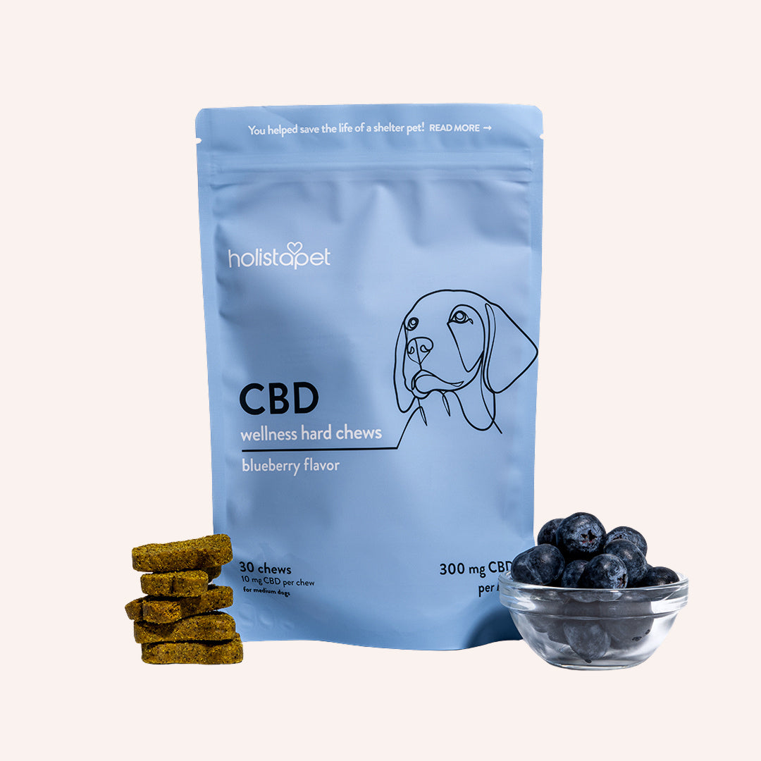 CBD Wellness Dog Treats - Holistapet
