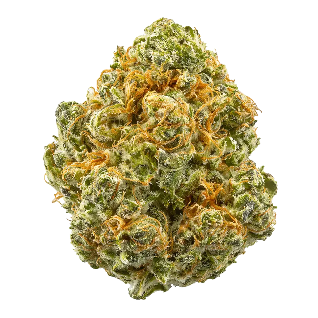 Blue Dream THCa Flower - Flower