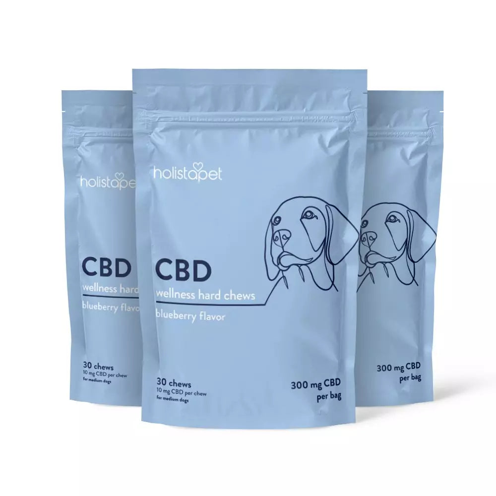 CBD Wellness Dog Treats - HolistaPet