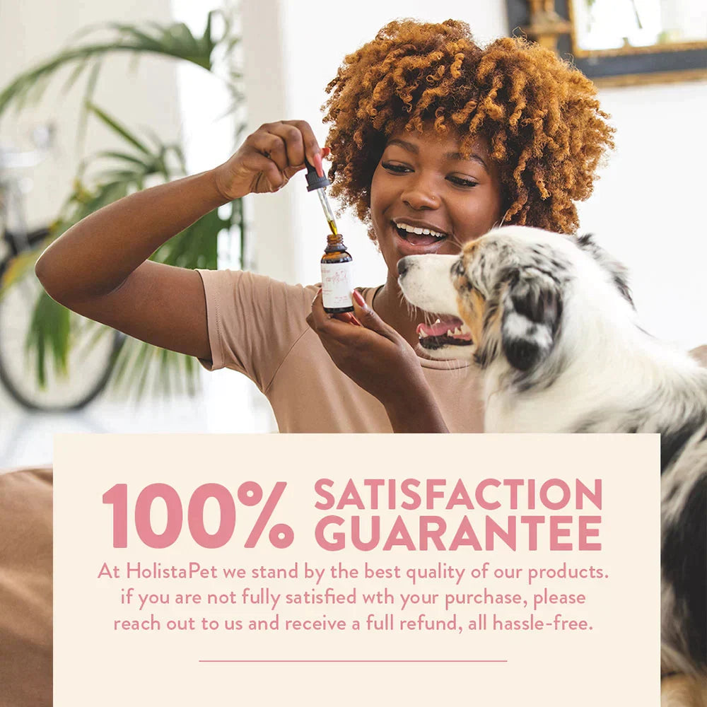 CBD Oil Tincture for Dogs