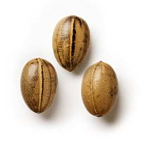 Blueberry Seeds Feminized - Fly High Seeds