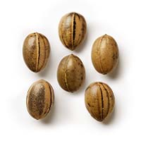 Baking Mix Pack - Feminized - Fly High Seeds