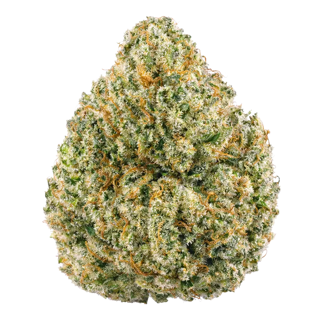 Space Junkie THCa Flower - Flower