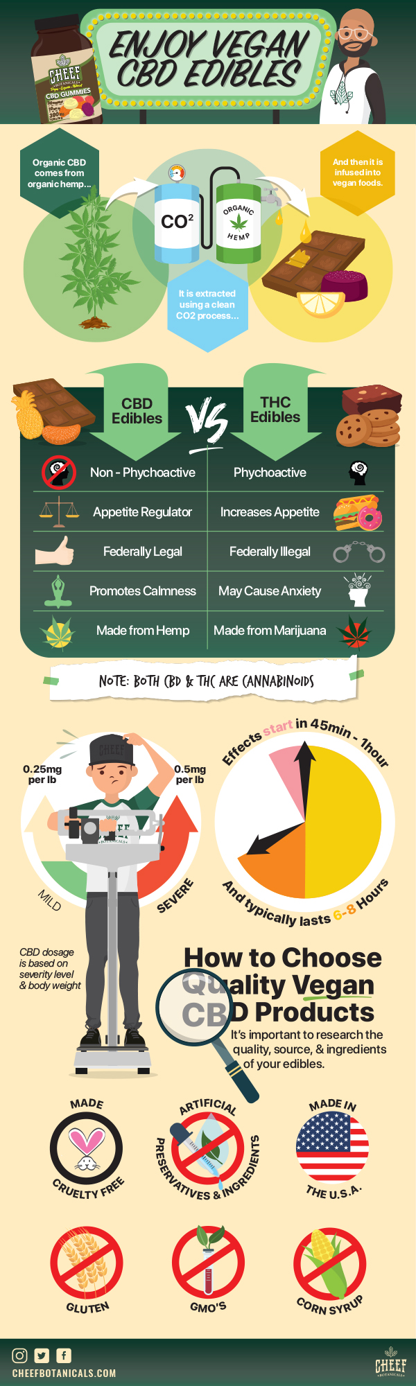 Enjoy vegan CBD edibles infographic