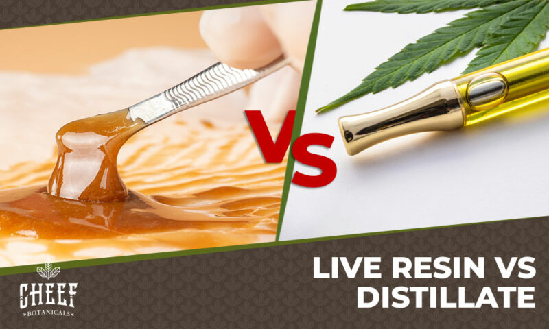 Live Resin vs Distillate featured blog image by Cheef Botanicals. Shows a dab tool scooping live resin from parchment paper next to an image with a distillate filled vape cartridge.