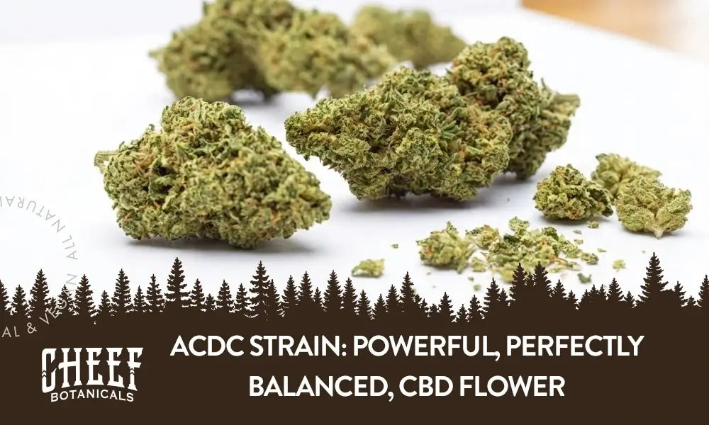 A bunch of ACDC cannabis buds sitting on a white table with the title "ACDC strain".