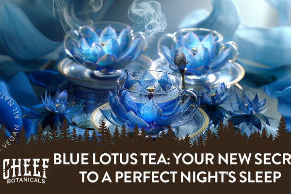 Blue Lotus Tea: Your New Secret to a Perfect Night's Sleep
