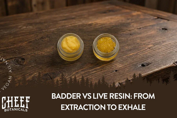 Badder vs Live Resin: From Extraction to Exhale
