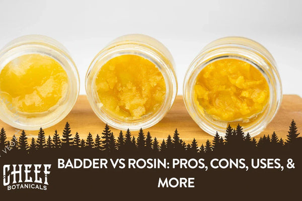 Badder vs Rosin: Pros, Cons, Uses, & More