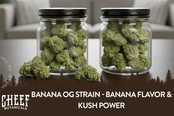 Banana OG Strain - Banana Flavor & Kush Power