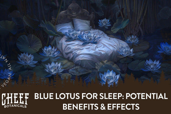 Blue Lotus for Sleep: Potential Benefits & Effects