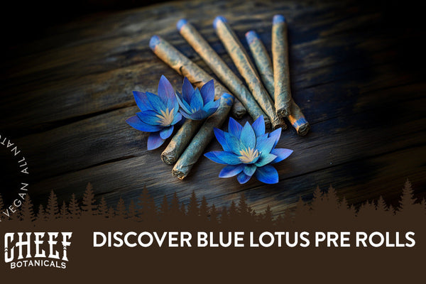 Discover Blue Lotus Pre Rolls