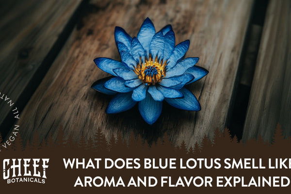 What Does Blue Lotus Smell Like? Aroma and Flavor Explained