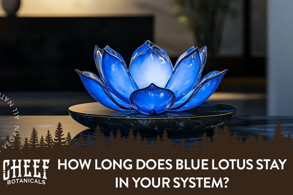 How Long Does Blue Lotus Stay in Your System?