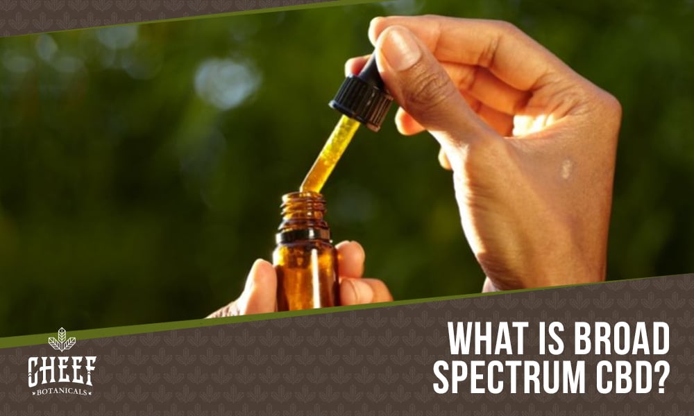 Broad Spectrum CBD featured blog image by Cheef Botanicals. Show one hand holding a CBD tincture dropper and the other hand holding a CBD tincture bottle. 