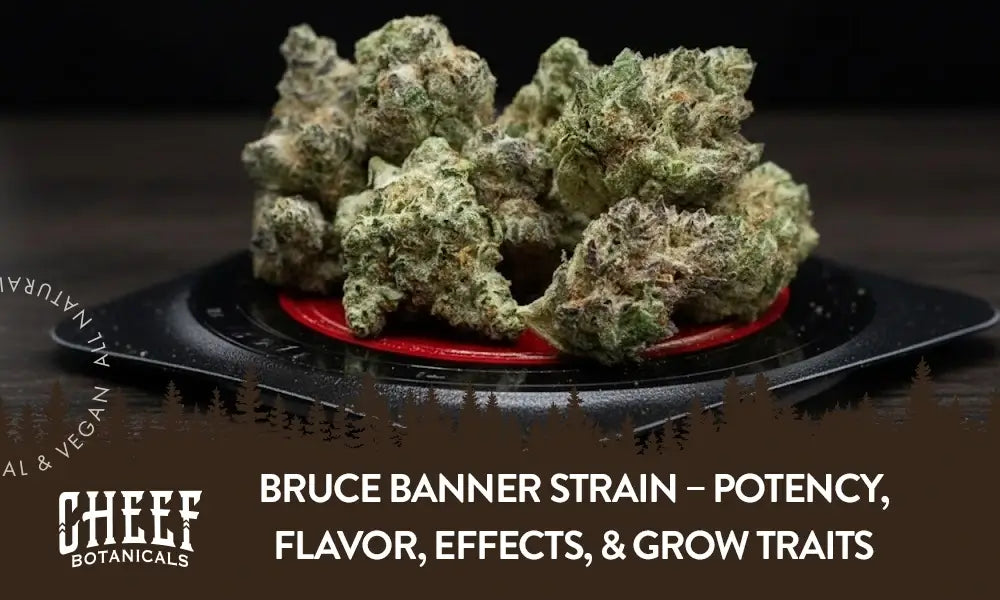 A bunch of Bruce Banner buds sitting on a red plate.