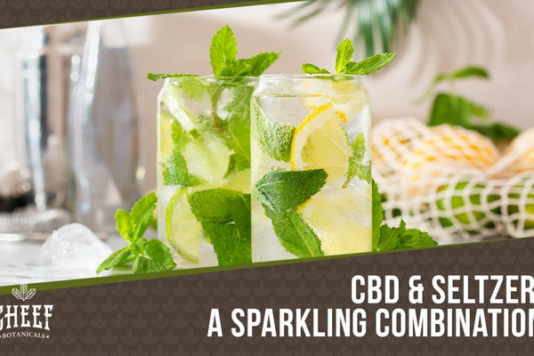 CBD Seltzer [The Most Refreshing Benefits You’ve Ever Had]