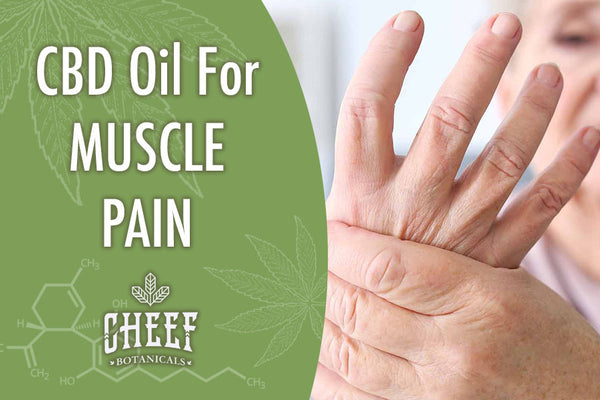 Using CBD For Muscle Pain
