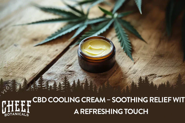 CBD Cooling Cream – Soothing Relief With a Refreshing Touch