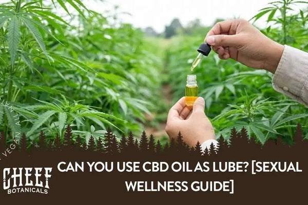 Can You Use CBD Oil As Lube? [Sexual Wellness Guide]