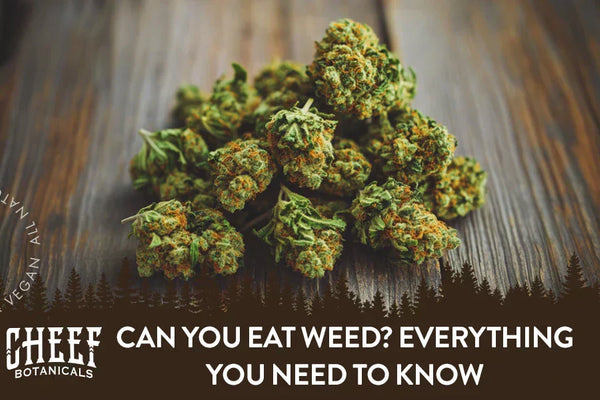 Can You Eat Weed? What Happens + Enhancement Tips