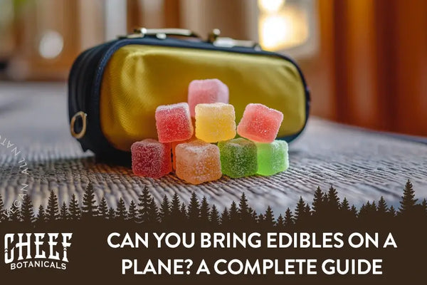 Can You Bring Edibles on a Plane? A Complete Guide