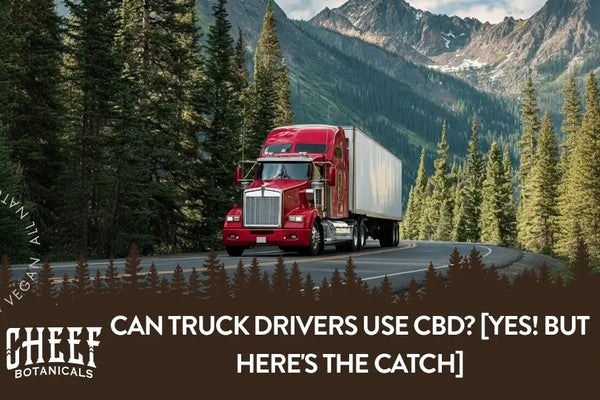 Can Truck Drivers Use CBD? [Yes! But Here's The Catch]