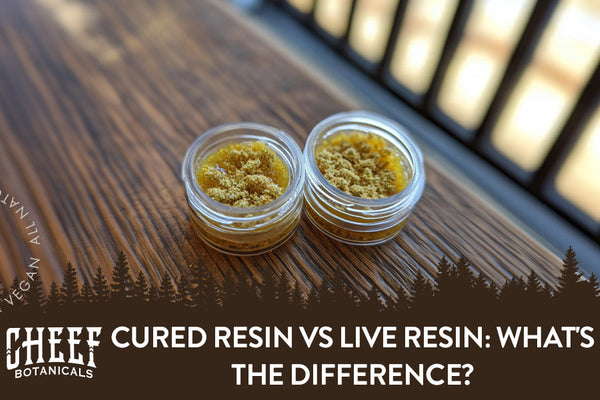 Cured Resin vs Live Resin: What's the Difference?